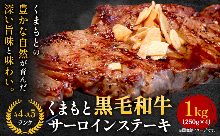 【A4～A5】くまもと黒毛和牛 サーロインステーキ  1kg 《30日以内に出荷予定(土日祝除く)》 牛肉 くまもと黒毛和牛 黒毛和牛 冷凍庫 サーロイン ステーキ Esprit---so_fespsa_30d_r7_39000_1kg---