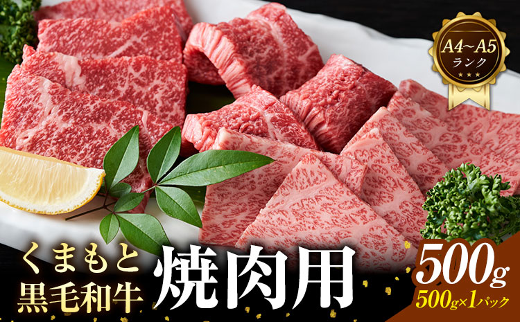 【A4～A5】くまもと 黒毛和牛 焼肉用 500g 《30日以内に出荷予定(土日祝除く)》熊本県 大津町 黒毛和牛 肉 お肉 和牛 牛 牛肉 A5 A4 小分け---so_fmpkkyn_30d_r7_13000_500g---