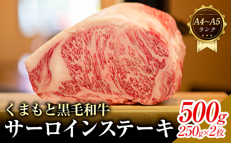 【A4～A5】くまもと 黒毛和牛 サーロイン ステーキ 500g 《30日以内に出荷予定(土日祝除く)》熊本県 大津町 黒毛和牛 肉 お肉 和牛 牛 牛肉 A5 A4 小分け MEAT PLUS---so_fmpkkss_30d_r7_17000_500g---