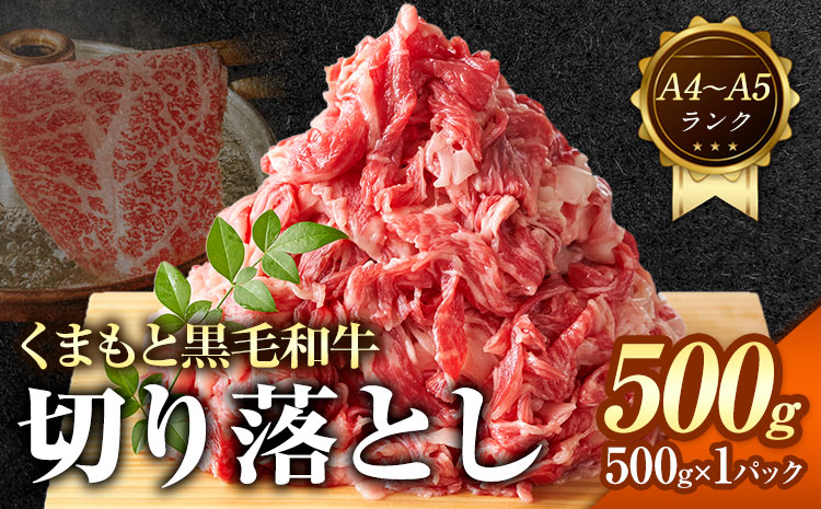 【A4～A5】くまもと 黒毛和牛 切り落とし 500g 《30日以内に出荷予定(土日祝除く)》熊本県 大津町 黒毛和牛 肉 お肉 和牛 牛 牛肉 A5 A4 小分け MEAT PLUS---so_fmpkkko_30d_r7_9000_500g---