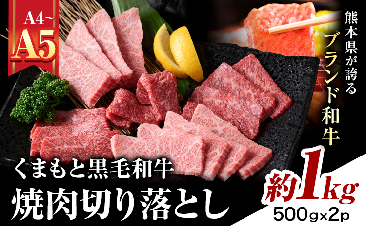 【A4～A5】くまもと黒毛和牛 焼肉切り落とし 約1kg(500g×2p)  《30日以内に出荷予定(土日祝除く)》熊本県 大津町 黒毛和牛 肉 お肉 和牛 牛 牛肉 A5 A4 焼肉 切り落とし MEAT PLUS---so_fmpkkyk_30d_r7_19500_1kg---
