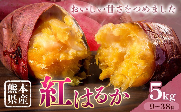 さつまいも 熊本県産 紅はるか 5kg 日本フルーツ株式会社《11月下旬-6月上旬頃出荷》熊本県 大津町 さつまいも 薩摩芋 からいも 紅はるか デザート 料理 おやつ 蜜芋 野菜 芋 いも---oz_nfbh_cf116_25_9000_5kg---