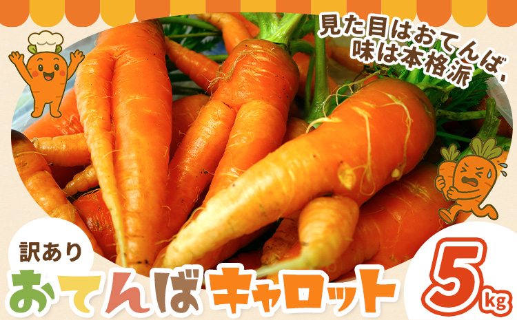 人参 訳あり にんじん ニンジン キャロット 5kg《12月中旬-3月上旬頃出荷》熊本県 大津町 人参 送料無料 にんじん キャロット 熊本県産 にんじん---oz_wknnjn_g123_25_5000_5kg---