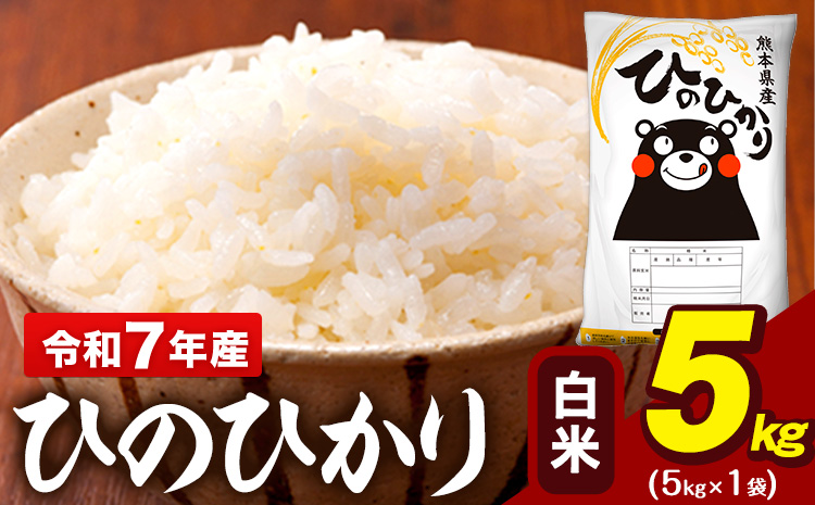 令和7年産 白米 米 ひのひかり 5kg 白米 精米 《7-14日以内に出荷予定(土日祝除く)》熊本県 大津町 国産 熊本県産 送料無料 ヒノヒカリ こめ お米---oz_hn7_wx_12500_5kg_h---