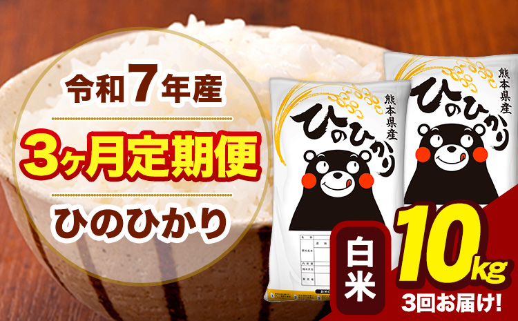 令和7年産 【3ヶ月定期便】 白米 米 ひのひかり 10kg《お申込み翌月から出荷》熊本県 大津町 国産 熊本県産 白米 送料無料 ヒノヒカリ こめ お米---hn7tei_73500_10kg_mo3_oz_h---