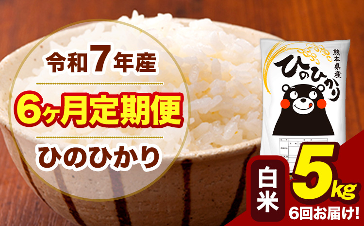 令和7年産 【6ヶ月定期便】 白米 米 ひのひかり 5kg《お申込み翌月から出荷》熊本県 大津町 国産 熊本県産 白米 送料無料 ヒノヒカリ こめ お米---hn7tei_75000_5kg_mo6_oz_h---