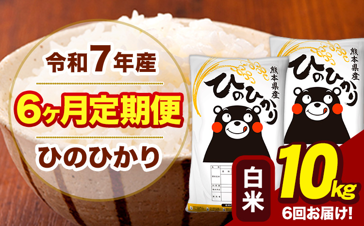 令和7年産 【6ヶ月定期便】 白米 米 ひのひかり 10kg《お申込み翌月から出荷》熊本県 大津町 国産 熊本県産 白米 送料無料 ヒノヒカリ こめ お米---hn7tei_147000_10kg_mo6_oz_h---