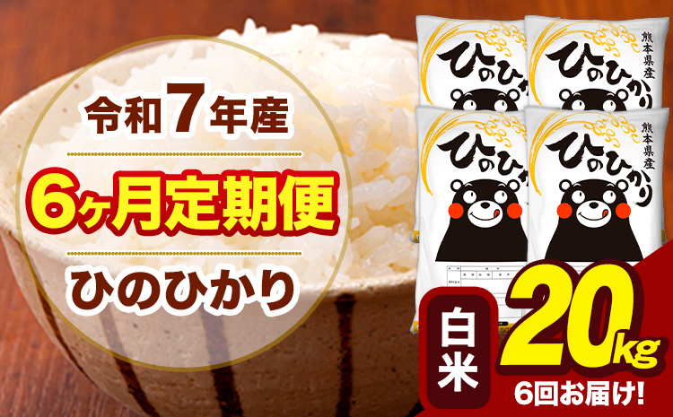 令和7年産 【6ヶ月定期便】 白米 米 ひのひかり 20kg《お申込み翌月から出荷》熊本県 大津町 国産 熊本県産 白米 送料無料 ヒノヒカリ こめ お米---hn7tei_291000_20kg_mo6_oz_h---
