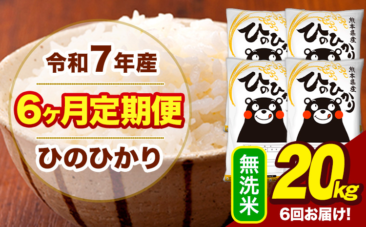 令和7年産 【6ヶ月定期便】 無洗米 米 ひのひかり 20kg《お申込み翌月から出荷》熊本県 大津町 国産 熊本県産 無洗米 送料無料 ヒノヒカリ こめ お米---hn7tei_243000_20kg_mo6_oz_m---