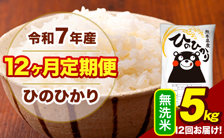 令和7年産 【12ヶ月定期便】 無洗米 米 ひのひかり 5kg《お申込み翌月から出荷》熊本県 大津町 国産 熊本県産 無洗米 送料無料 ヒノヒカリ こめ お米---hn7tei_150000_5kg_mo12_oz_m---