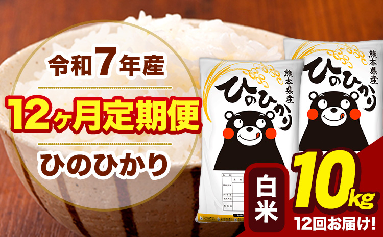 令和7年産 【12ヶ月定期便】 白米 米 ひのひかり 10kg《お申込み翌月から出荷》熊本県 大津町 国産 熊本県産 白米 送料無料 ヒノヒカリ こめ お米---hn7tei_294000_10kg_mo12_oz_h---