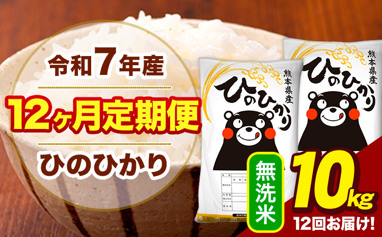 令和7年産 【12ヶ月定期便】 無洗米 米 ひのひかり 10kg《お申込み翌月から出荷》熊本県 大津町 国産 熊本県産 無洗米 送料無料 ヒノヒカリ こめ お米---hn7tei_294000_10kg_mo12_oz_m---