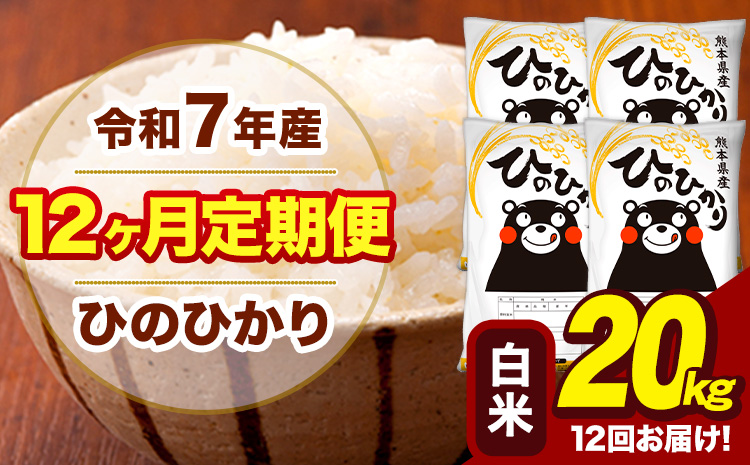 令和7年産 【12ヶ月定期便】 白米 米 ひのひかり 20kg《お申込み翌月から出荷》熊本県 大津町 国産 熊本県産 白米 送料無料 ヒノヒカリ こめ お米---hn7tei_510000_20kg_mo12_oz_h---