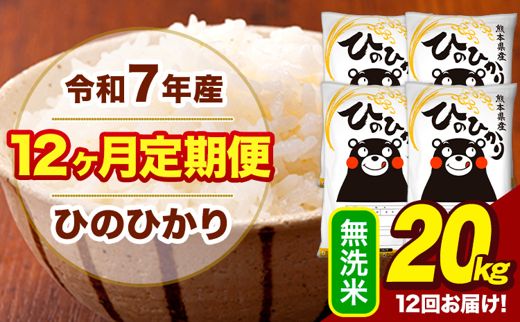 令和7年産 【12ヶ月定期便】 無洗米 米 ひのひかり 20kg《お申込み翌月から出荷》熊本県 大津町 国産 熊本県産 無洗米 送料無料 ヒノヒカリ こめ お米---hn7tei_510000_20kg_mo12_oz_m---