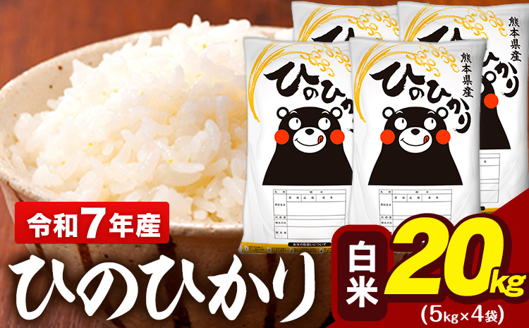 令和7年産 白米 米 ひのひかり 20kg (5kg袋×4)《7-14日以内に出荷予定(土日祝除く)》熊本県 大津町 国産 熊本県産 白米 精米 送料無料 ヒノヒカリ こめ お米---oz_hn7_wx_44500_20kg_h---