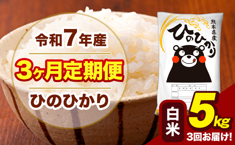 令和7年産 【3ヶ月定期便】 白米 米 ひのひかり 5kg《お申込み翌月から出荷》熊本県 大津町 国産 熊本県産 白米 送料無料 ヒノヒカリ こめ お米---hn7tei_37500_5kg_mo3_oz_h---