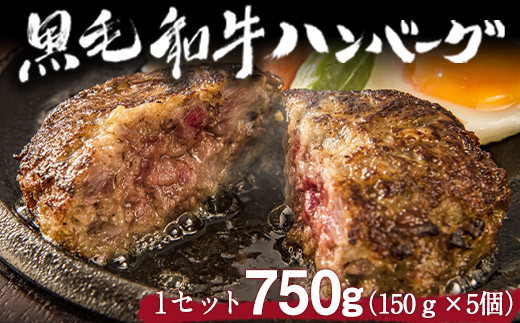 黒毛和牛ハンバーグ 150g×5個    トップルーフ《60日以内に出荷予定(土日祝除く)》---so_ftopkham_60d_r7_16000_750g---