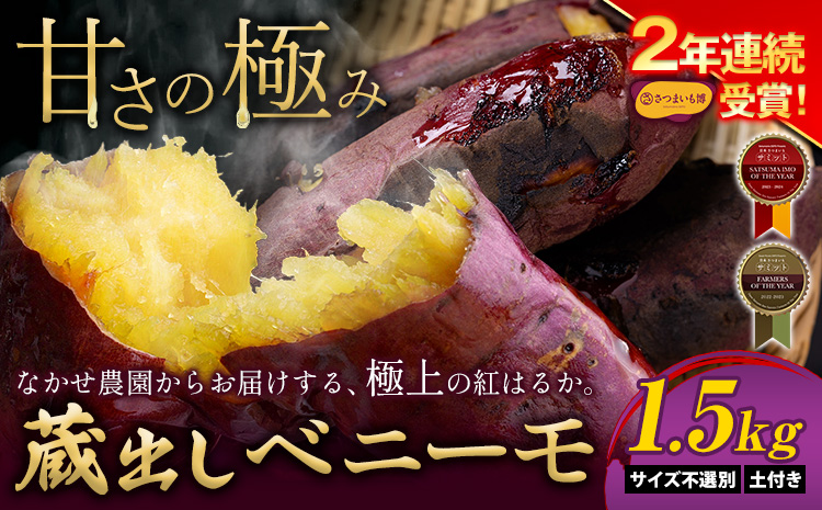 芋 熊本 県 大津 町産 なかせ 農園の蔵出しベニーモ 選べる 約 1.5kg (大中小サイズ不揃い)《1-5日以内に出荷予定(土日祝除く)》 さつま いも さつま芋 芋 紅 はるか スイート ポテト 干し芋にも 特産品 SDGs 中瀬農園---fn_nksimo_s_25_4000_1500g---