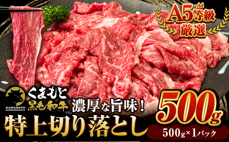 くまもと黒毛和牛 ウデ・モモ 特上 切り落とし 選べる 500g 牛肉 冷凍 [60日以内に出荷予定(土日祝除く)]冷凍庫 個別 取分け 小分け 個包装 モモ スライス 肉 お肉 しゃぶしゃぶ すき焼き A5 A4---oz_fkkrgmuar_60d_24_7500_500g---