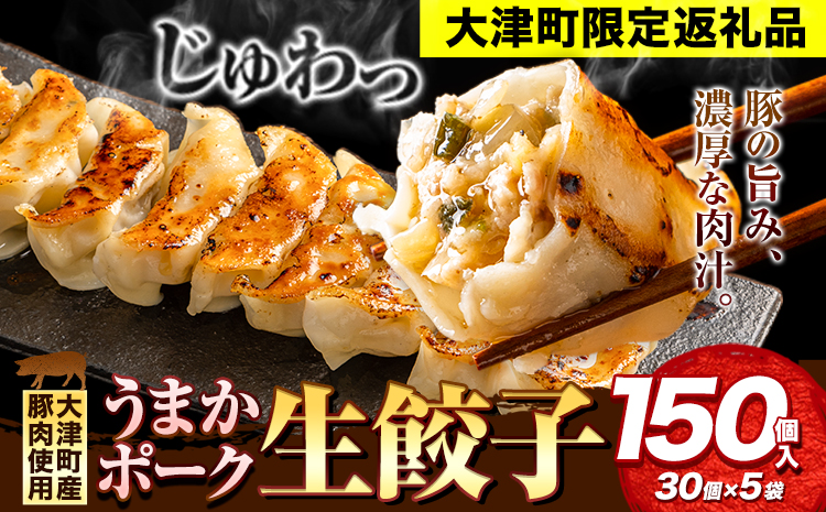 餃子 うまかポーク生餃子 150個(30個)[30日以内に出荷予定(土日祝除く)]餃子 皮モチモチ---oz_fgz_30d_r7_15000_150p---