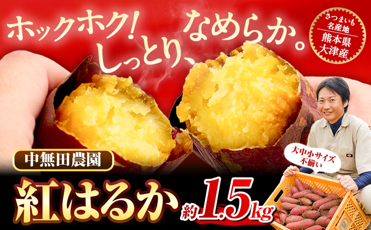 熊本県大津町産 中無田農園の紅はるか 約1.5kg (大中小サイズ不揃い) 熊本県大津町 [1-5営業日以内に出荷(土日祝除く)] さつまいも 芋 スイートポテト 干し芋にも 名産地 特産品 秋 旬---fn_nkmtben_s_24_4000_1500g---