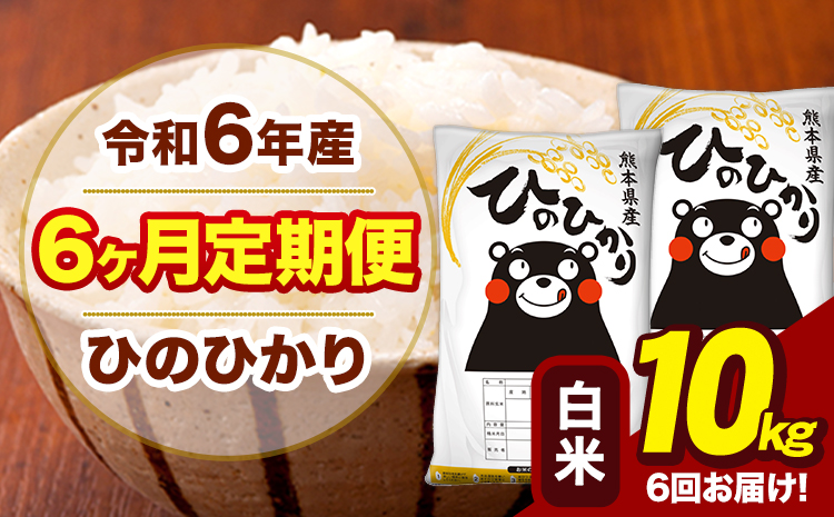 令和6年産 [6ヶ月定期便] 白米 米 ひのひかり 10kg[お申し込み月の翌月から出荷開始]熊本県 大津町 国産 熊本県産 白米 送料無料 ヒノヒカリ こめ お米---hn6tei_132000_10kg_mo6_oz_h---