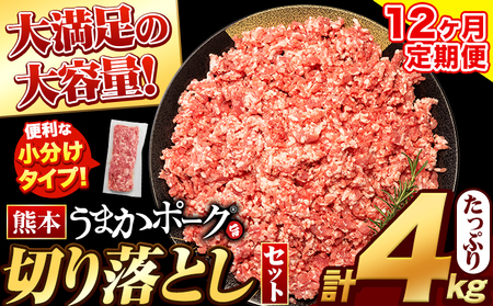 [12ヶ月定期便] うまかポーク ミンチ 約400g×10袋 計4kg[お申込み月の翌月から出荷開始]大容量 豚肉 小分け---fn_fuptei_23_134500_mo12num1_mnt---