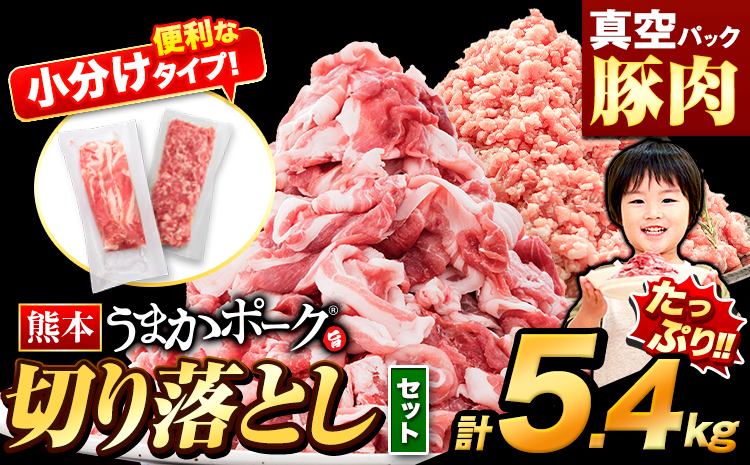 豚肉 切り落とし & ミンチ ハーフセット 3セット 5.4kg 豚 細切れ こま切れ 豚こま 豚小間切れ 豚しゃぶ 小分け 訳あり 訳有 ひき肉 うまかポーク 傷 規格外 ぶた肉 ぶた 真空パック 数量限定 簡易包装 冷凍 [30営業日以内に出荷予定(土日祝除く)]---oz_fup1_30d_19000_s_5400g---