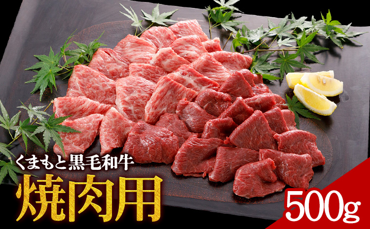 牛肉 くまもと黒毛和牛 焼肉用 500g 株式会社KAM Brewing[30日以内に出荷予定(土日祝除く)]---so_fantkwyk_30d_24_20000_500g---