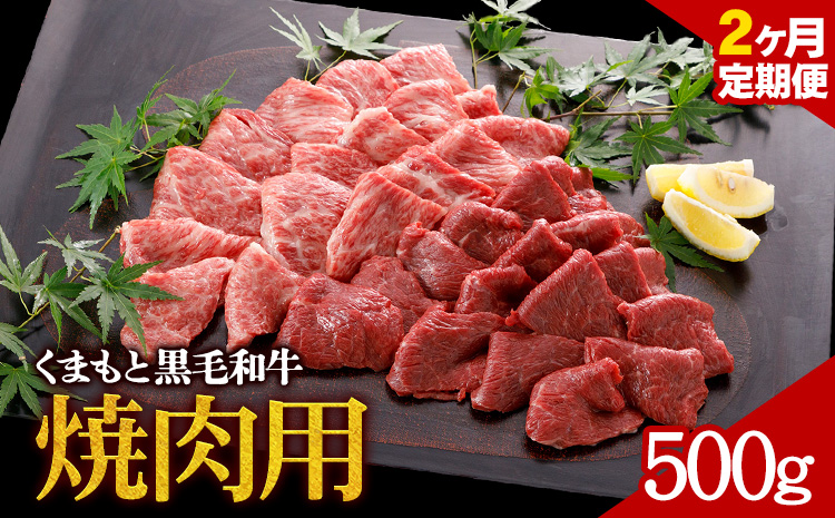 [2ヶ月定期便]牛肉 くまもと黒毛和牛 焼肉用 500g 定期便 2回 株式会社KAM Brewing[お申込み月の翌月から出荷開始]---so_fantkwyktei_24_38500_mo2num1---