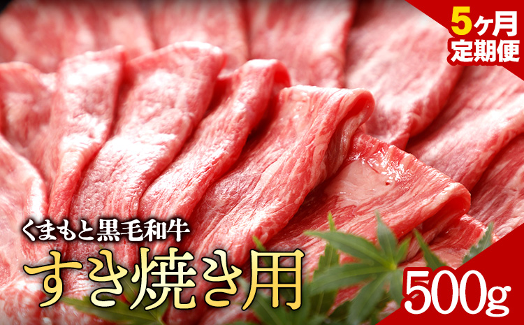 [5ヶ月定期便]牛肉 くまもと黒毛和牛 すき焼き用 500g 定期便 5回 株式会社KAM Brewing[お申込み月の翌月から出荷開始]---so_fantkwsktei_24_95500_mo5num1---