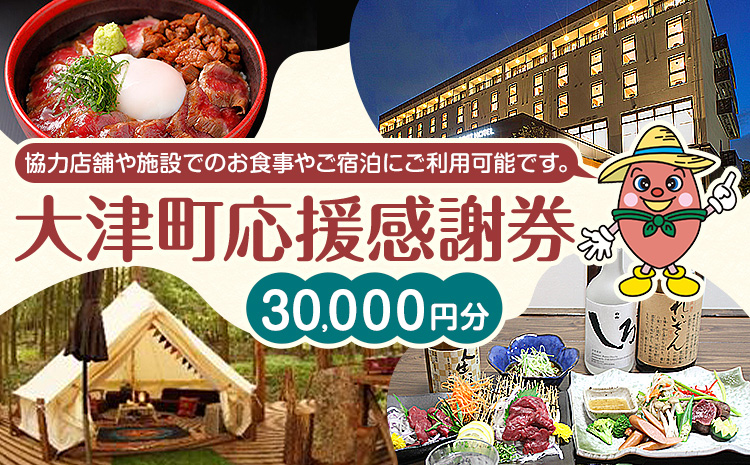 大津町 応援感謝券 30000円 観光協会[30日以内に出荷予定(土日祝除く)]熊本県 大津町 飲食店 宿泊施設---iso_knkknsy_30d_r7_118000_30i---