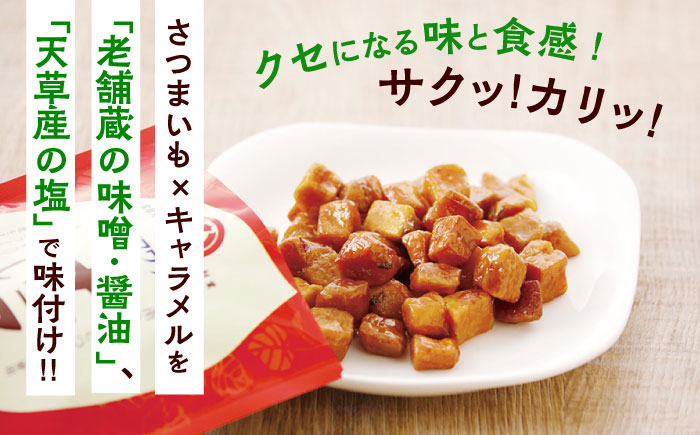 【年内発送は12月11日ご入金分まで！】キャラいもキューブ アソート 12袋セット 計480g(味噌・しょうゆ・塩 各4袋)【株式会社山内本店】 [BHAE039]