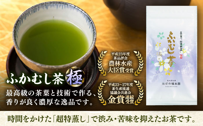 ふかむし茶 「極」 10本詰め セット 計1kg お茶 日本茶 深蒸し茶 / お茶 日本茶 深蒸し茶 受賞 濃厚 自社農園 熊本県 菊陽【有限会社 お茶の福本園】 [BHAI002]