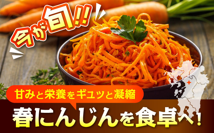 【数量限定】菊陽町の春にんじん 約10kg【有限会社さんふれあ】 [BHAK004]