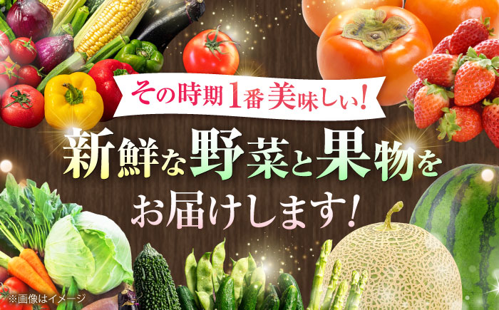 【全3回定期便】菊陽町特産品 「野菜・果物などの詰め合わせ」　 / 新鮮 詰合せ フルーツ 野菜セット 旬 おまかせ にんじん 直売所 やさい くだもの 熊本県 特産品 菊陽町【有限会社さんふれあ】 [BHAK007]
