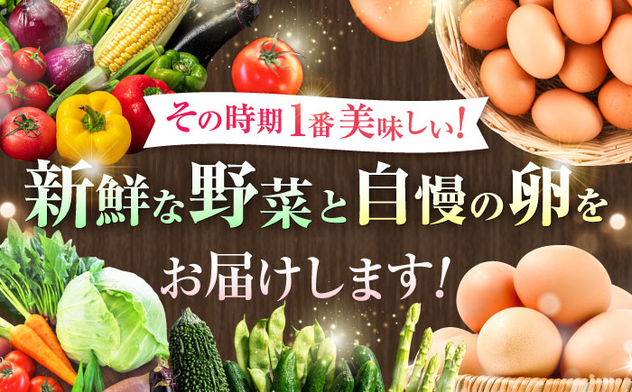 【全6回定期便】【新鮮たまごと旬の野菜セット(野菜7~8品程度＋40個) / たまご 生卵 タマゴ 詰合せ セット 熊本県 特産品【有限会社さんふれあ】 [BHAK010]