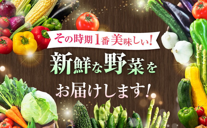 【全3回定期便】旬の 野菜セット (約3kg/野菜7-8品程度) / 野菜 新鮮 旬 詰合せ セット 熊本県 菊陽町 特産品 【有限会社さんふれあ】 [BHAK024]