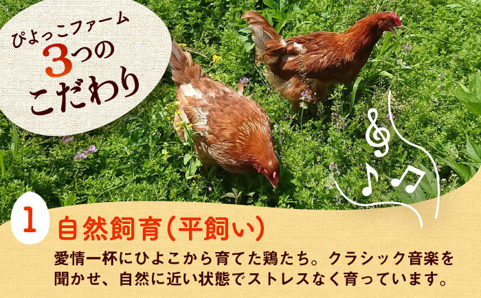 【全3回定期便】平飼い新鮮たまご 元気玉 計20個(10個×2パック) / 卵 ぷりぷり 新鮮 玉子 オムレツ たまごかけごはん 朝食 平飼い 濃厚 こく 熊本県 菊陽町【ぴよっこファーム】 [BHAP003]