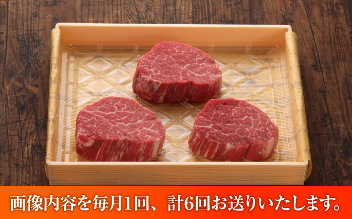 【全6回定期便】【GI認証】くまもとあか牛シャトーブリアン 約120g×3枚 / 菊陽町 あかうし 熊本県 肉 にく niku ブランド 旨み 【有限会社 三協畜産】 [BHAS073]