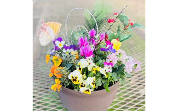 【先行予約】【12月上旬順次発送開始】新年を華やかに彩る お正月の寄せ植え(おまかせ) / 正月飾り 花苗 鉢 ピック【GreenlifeYoshimura】新年を華やかに彩る お正月の寄せ植え(おまかせ) / 正月飾り 花苗 鉢 ピック【GreenlifeYoshimura】 [BHBG001]