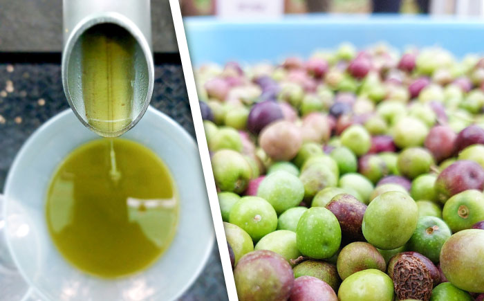 EXVオリーブオイル アルベキナ種 100ml×1 / エクストラバージン オリーブ フルーティ 手摘み コールドプレス 調味料 油 熊本 菊陽町 食用油【こびらオリーブ園】 [BHBL001]