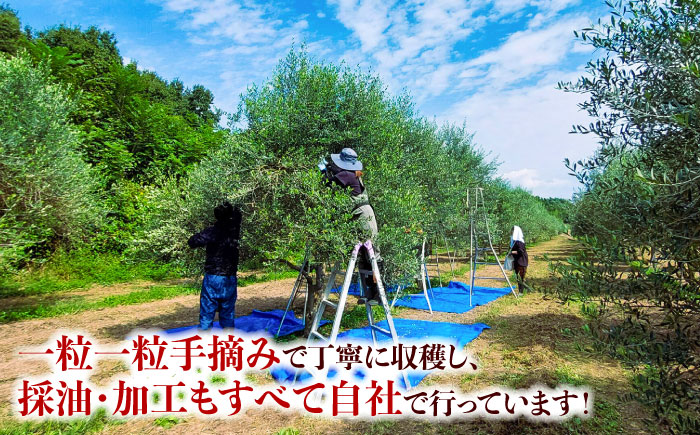 EXV オリーブオイル ピクアル種 130ml×1 / エクストラバージン オリーブ フルーティ 手摘み コールドプレス 調味料 油 熊本 菊陽町 食用油【こびらオリーブ園】 [BHBL002]