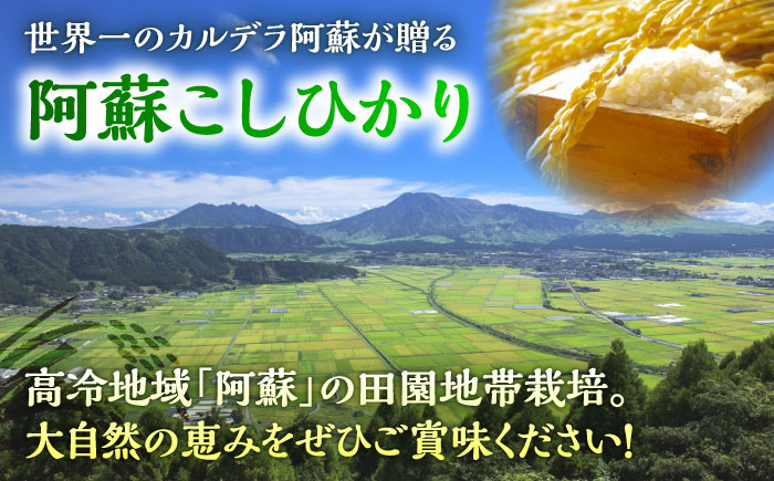 【令和7年産】熊本県産 阿蘇コシヒカリ 5kg 米【熊本パールライス株式会社】 [BHBP001]