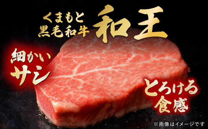 くまもと黒毛和牛 ｢和王｣ ヒレステーキ 計約320g (約160g×2枚) / 牛肉 和王 肉 ヒレ ひれ 希少部位 熊本県 菊陽町【菊池地域農業協同組合】 [BHBQ004]