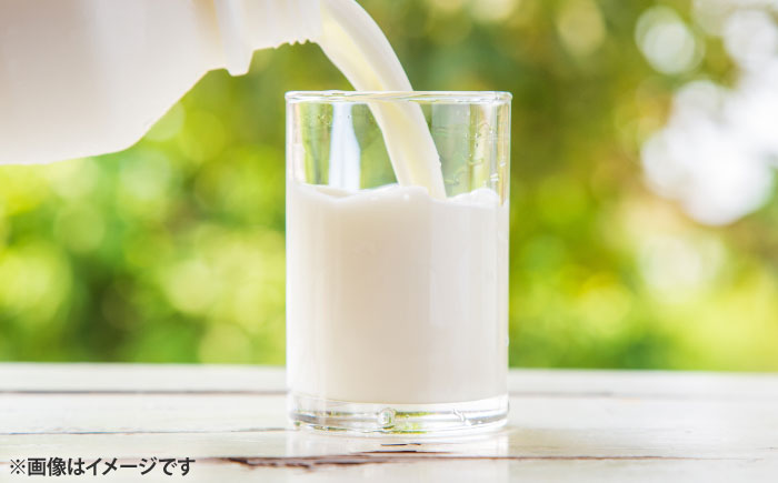 大阿蘇牛乳200ｍl12本、カフェオレ200ｍl12本 24本セット【合同会社 たべたせいか】 [BHBY012]