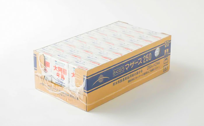 【全12回定期便】大阿蘇 牛乳 250ml(24本入り) / 阿蘇 熊本 乳牛 生乳 ミルク 無調整 自然 らくのう 【合同会社 たべたせいか】 [BHBY024]