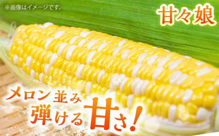 【先行予約】【2026年6月上旬より順次発送】スイートコーン、ドルチェドリームと甘々娘の食べ比べセット とうもろこし【なかむら農園】 [BHCJ003]