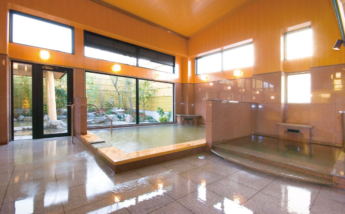 温泉入浴券 大谷の湯 日帰り温泉 入浴券 12枚 体験チケット【社会福祉法人青生会】 [BHCM002]