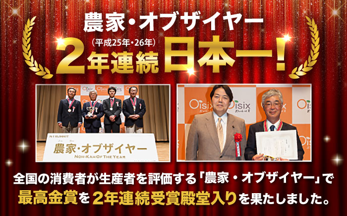 ジュース用秋にんじん(訳あり) / ニンジン 規格外 ジュース β-カロテン 食物繊維 抗酸化作用 熊本県産 菊陽町 【株式会社 まゆみ農園】 [BHCW007]